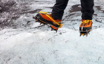 niezastąpione raki podczas górskich wypraw